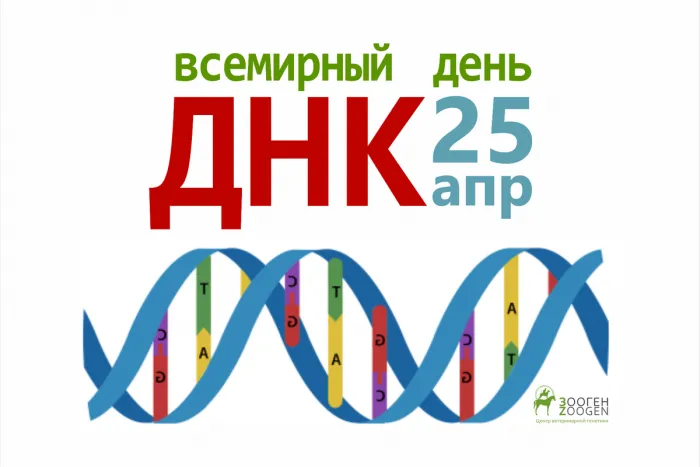 Картинки с Международным Днем ДНК (13 открыток). Картинки с надписями