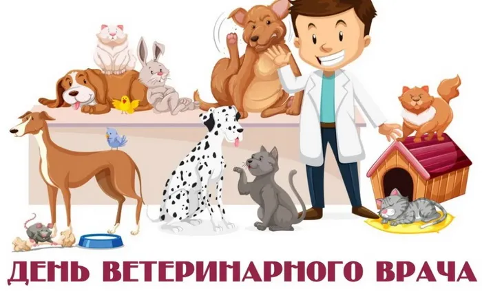 Картинки с Международным днем ветеринарного врача (75 открыток). Красивые картинки с надписями