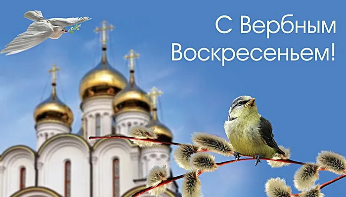 Картинки с Вербным воскресеньем (90 открыток). Красивые картинки с надписями