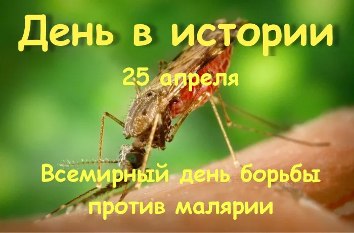 Картинки со Всемирным днем борьбы против малярии (13 открыток). Картинки с надписями