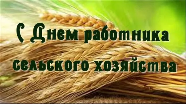 Картинки и открытки с Днем работника сельского хозяйства. День работника сельского хозяйства и перерабатывающей промышленности - прикольные картинки