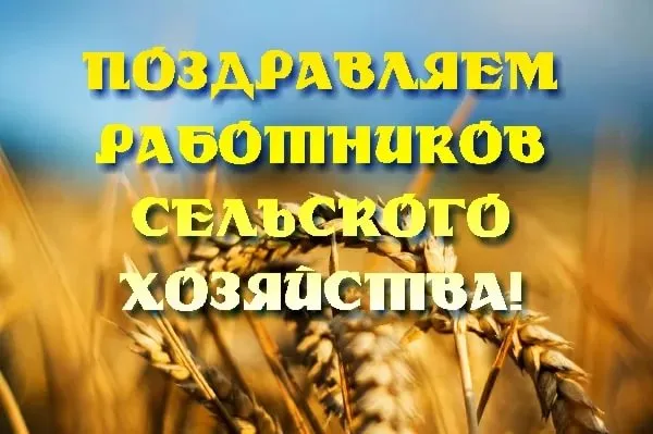 Картинки и открытки с Днем работника сельского хозяйства. Красивые открытки с Днем работника сельского хозяйства и перерабатывающей промышленности