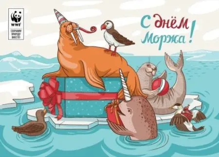 Картинки и открытки с Днем моржа. День моржа - прикольные картинки