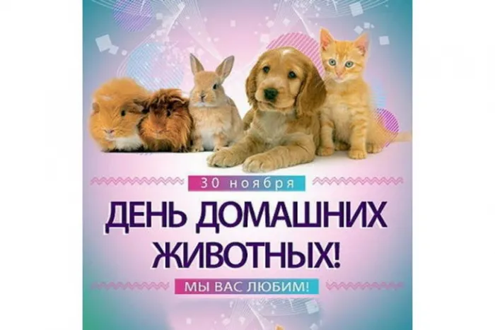 День домашних животных. Красивые открытки с Днём домашних животных