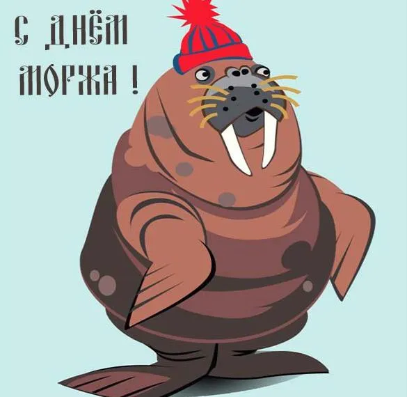 Картинки и открытки с Днем моржа. Картинки с поздравлениями с Днем моржа