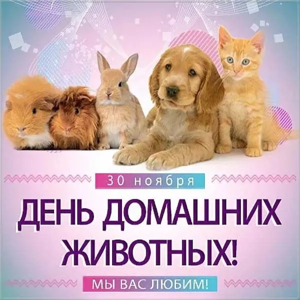 День домашних животных. Красивые открытки с Днём домашних животных