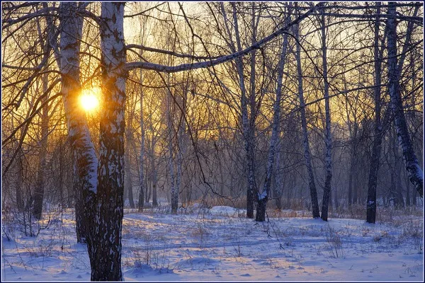 День зимнего солнцестояния. Красивые открытки с днём зимнего солнцестояния