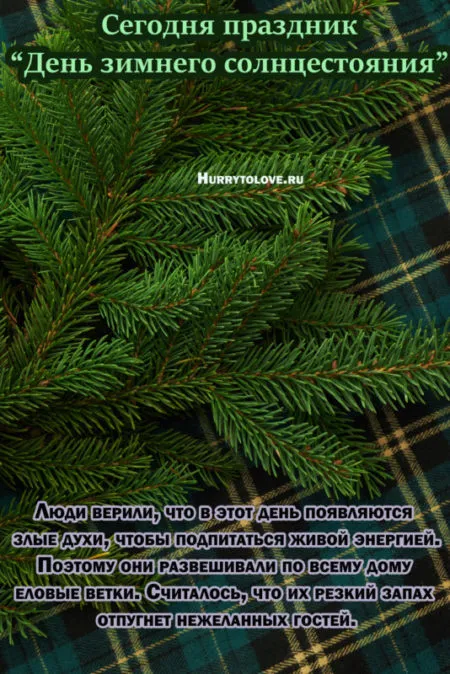 День зимнего солнцестояния. День зимнего солнцестояния - прикольные картинки