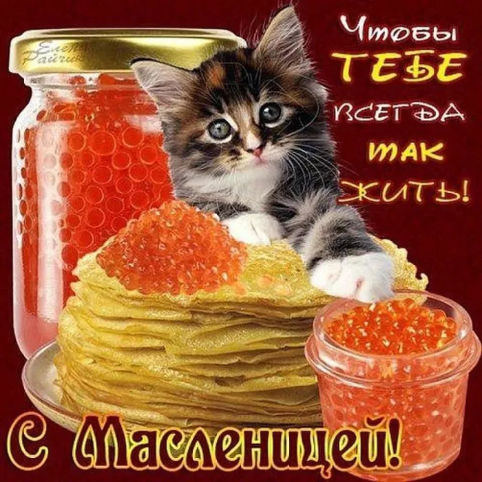 Картинки и открытки с Масленицей. Красивые открытки с Масленицей